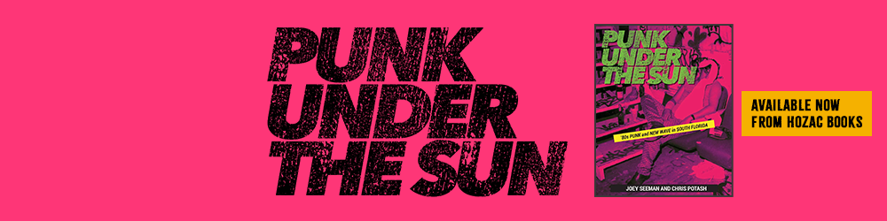Punk Under the Sun book